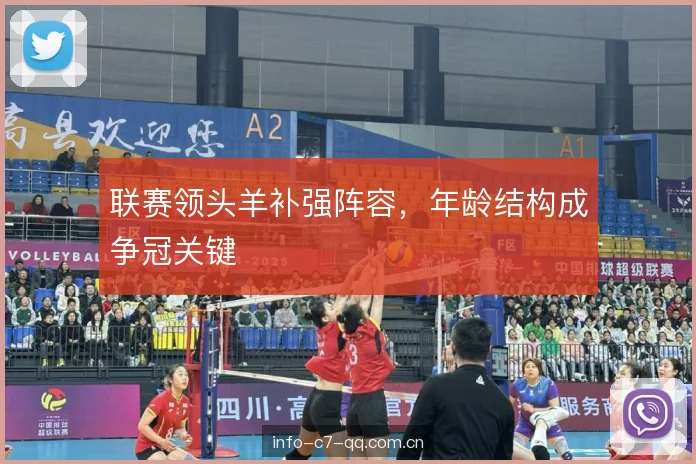 联赛领头羊补强阵容，年龄结构成争冠关键